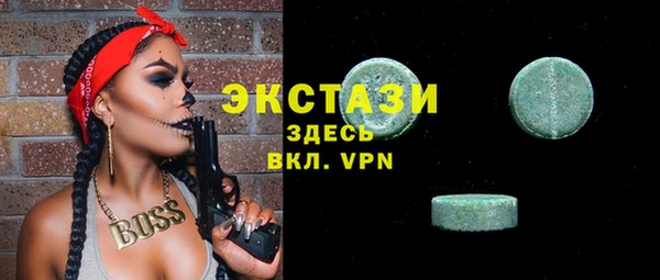 дживик Богородицк