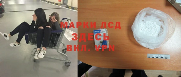 дживик Богородицк