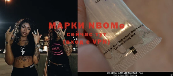 ешки Белокуриха
