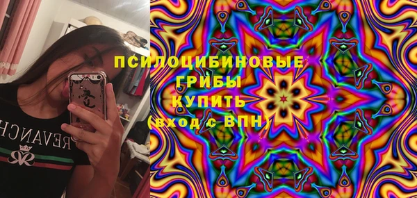 мескалин Богданович
