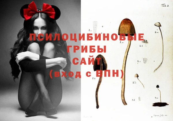 спайс Белоозёрский